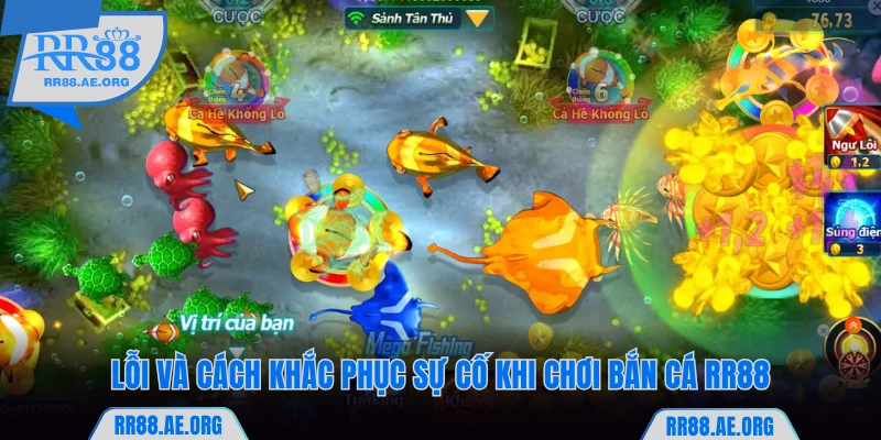 Lỗi và cách khắc phục khi chơi bắn cá RR88